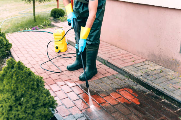Animal Enclosure Cleaning in Whitewater, CA